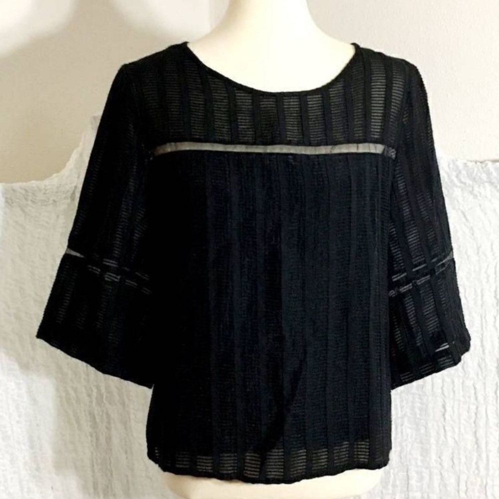 Anthropologie Black Sheer Stripe Boxy Blouse - Picture 5 of 9